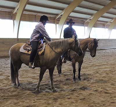 prova westernridning